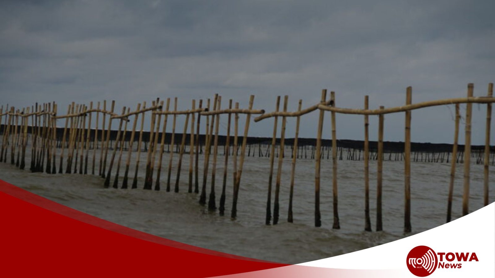 Perjalanan Kasus Pagar Laut Tangerang: Dari Awal Temuan hingga SHGB Dicabut