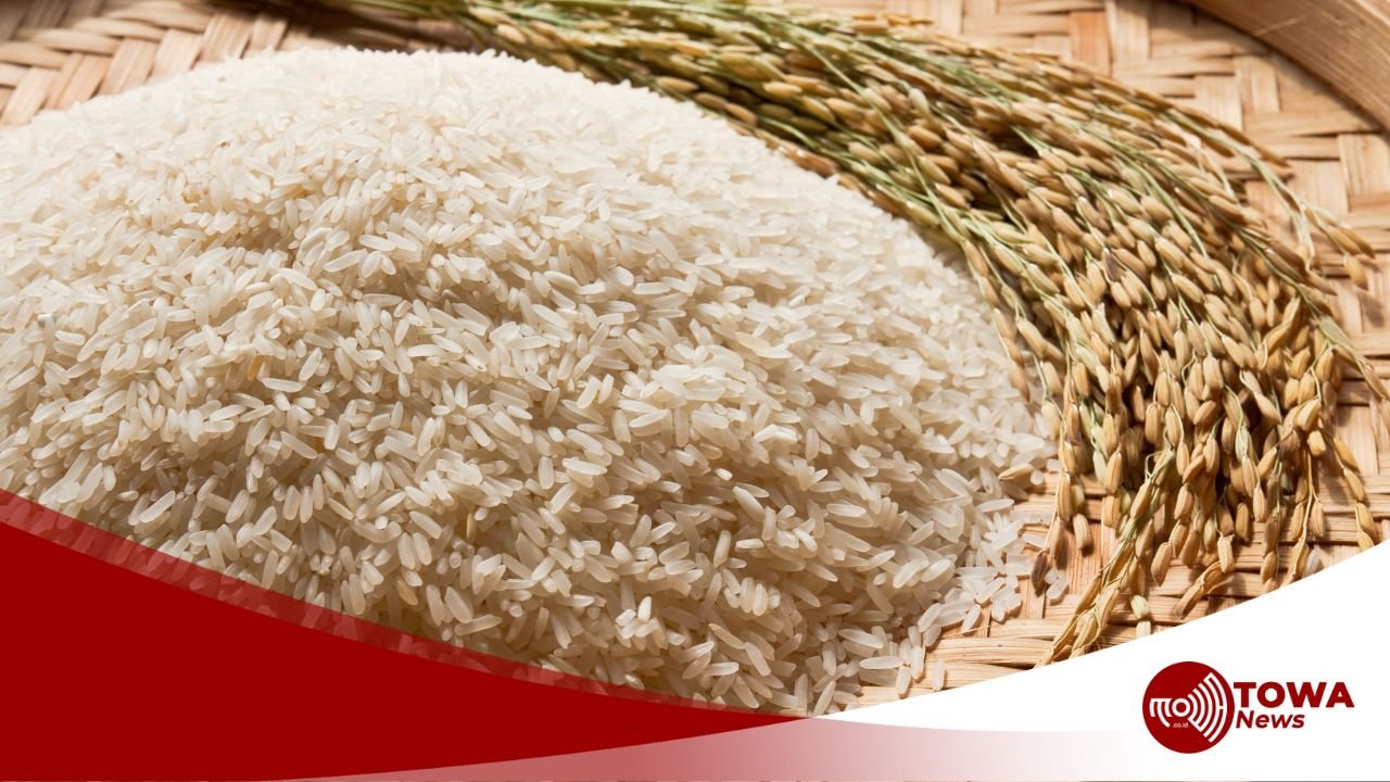 Stok Beras Nasional Capai 3,8 Juta Ton, Bulog Pastikan Distribusi dan Kualitas Terjaga
