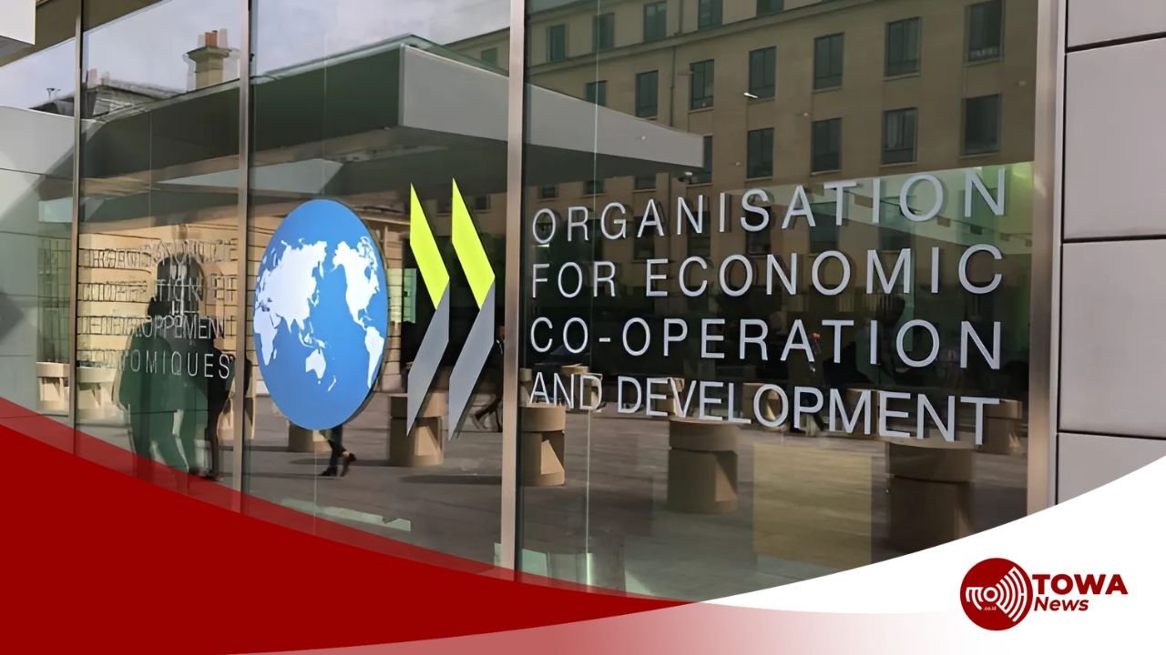 OECD Soroti Program Andalan Prabowo: Danantara dan Makan Bergizi Gratis dalam Outlook Ekonomi Global